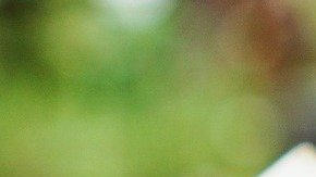 Tener claro tu objetivo de ahorro te permitirá elegir la mejor cuenta bancaria acorde a tus necesidades.