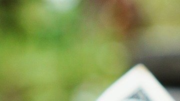 Tener claro tu objetivo de ahorro te permitirá elegir la mejor cuenta bancaria acorde a tus necesidades.