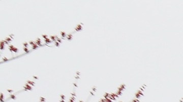 WESTBURY, NEW YORK - MARCH 20: A general view of the Bed Bath & Beyond sign as photographed on March 20, 2020 in Westbury, New York. (Photo by Bruce Bennett/Getty Images)