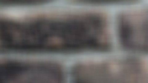 Un curso de finanzas es muy útil para saber administrar tu dinero.