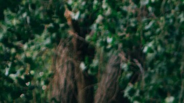 Es posible que tener un carro usado te cueste más barato, pero también existen ventajas en comprar uno nuevo.