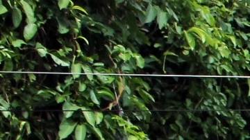 El exterior de una casa puede ser importante para atraer interesados en tu propiedad.