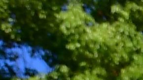A for sale sign is seen near a house for sale in South Pasadena, California on April 24, 2020. - The coronavirus pandemic has worsened the US housing crisis as millions now unemployed must now figure out how to pay their monthly mortgages. (Photo by Frederic J. BROWN / AFP) (Photo by FREDERIC J. BROWN/AFP via Getty Images)