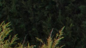 LAKE BUENA VISTA, FLA - NOVEMBER 18: In this handout image provided by Walt Disney World Resort, Disneyland guests and Cast Members celebrate Mickey Mouses 90th birthday, November 18, 2018, during a festive cavalcade down Main Street U.S.A at Disneyland park in Anaheim, California. Beginning in January 2019, Disneyland guests will be able to join the party with Get Your Ears On  a Mickey and Minnie Celebration featuring new entertainment, limited-time merchandise and food and beverage offerings. (Photo by Joshua Sudock/Disneyland Resort via Getty Images)