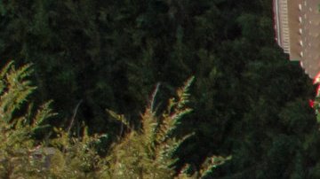 LAKE BUENA VISTA, FLA - NOVEMBER 18: In this handout image provided by Walt Disney World Resort, Disneyland guests and Cast Members celebrate Mickey Mouses 90th birthday, November 18, 2018, during a festive cavalcade down Main Street U.S.A at Disneyland park in Anaheim, California. Beginning in January 2019, Disneyland guests will be able to join the party with Get Your Ears On  a Mickey and Minnie Celebration featuring new entertainment, limited-time merchandise and food and beverage offerings. (Photo by Joshua Sudock/Disneyland Resort via Getty Images)