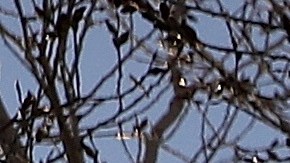 DENVER, COLORADO - APRIL 08: Cyclists take advantage of the pathway around the lake at Sloan's Lake Park on April 08, 2020 in Denver, Colorado. Sloan's Lake Park is home to the biggest lake in Denver and is the city’s second largest park. While many of the amenities are closed due to the COVID-19 crisis, the park remains open. (Photo by Matthew Stockman/Getty Images)