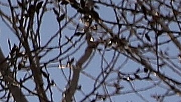DENVER, COLORADO - APRIL 08: Cyclists take advantage of the pathway around the lake at Sloan's Lake Park on April 08, 2020 in Denver, Colorado. Sloan's Lake Park is home to the biggest lake in Denver and is the city’s second largest park. While many of the amenities are closed due to the COVID-19 crisis, the park remains open. (Photo by Matthew Stockman/Getty Images)