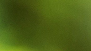 Juntar monedas que nos den como cambio es una forma de ahorrar.