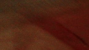 MIAMI - JUNE 23:  Frank Mena (2L), Ricardo Martinez (2R), Mark Kerr (R) and others celebrate the winning goal for the USA soccer team while watching the 2010 FIFA World Cup South Africa Group C match between USA and Algeria on television at Churchill's pub on June 23, 2010 in Miami, Florida.  The United States team will advance to the second round at the World Cup with a 1-0 win over Algeria.  (Photo by Joe Raedle/Getty Images)