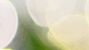 Una elección de un plan adecuado a nuestras necesidades nos puede hacernos ahorrar mucho dinero.