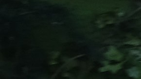 NEW YORK, NEW YORK - JUNE 24: People eat and drink at tables placed outside of a Manhattan restaurant as the city enters Phase 2 of re-opening following restrictions imposed to curb the coronavirus pandemic on June 24, 2020 in New York City. Phase 2 permits the reopening of offices, in-store retail, outdoor dining, barbers and beauty parlors and numerous other businesses. New York state is planning a four-phased gradual reopening in an attempt to stop the spread of the virus. (Photo by Spencer Platt/Getty Images)