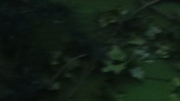 NEW YORK, NEW YORK - JUNE 24: People eat and drink at tables placed outside of a Manhattan restaurant as the city enters Phase 2 of re-opening following restrictions imposed to curb the coronavirus pandemic on June 24, 2020 in New York City. Phase 2 permits the reopening of offices, in-store retail, outdoor dining, barbers and beauty parlors and numerous other businesses. New York state is planning a four-phased gradual reopening in an attempt to stop the spread of the virus. (Photo by Spencer Platt/Getty Images)