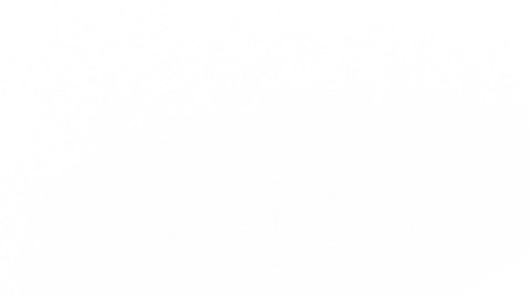 Ahorra casi sin darte cuenta con unos sencillos consejos a seguir.