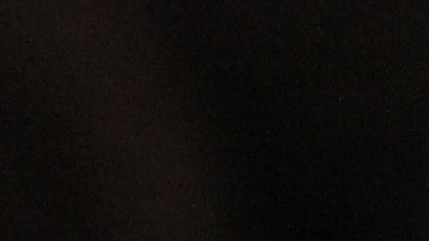 cat-whiskers-kitty-tabby-20787