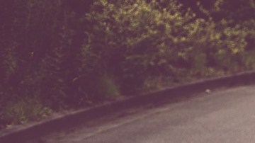 Dejando de lado la desesperación, no es una mala idea tomar un trabajo en este momento que no sea el empleo de tus sueños.