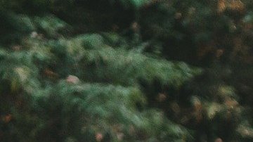 Jon Staff dijo que anima a su equipo a dejar sus escritorios y obtener aire fresco todos los días, ya que nunca se sabe dónde y cuándo puede llegar la inspiración.