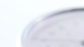 Si tu cónyuge todavía está empleado y tiene cobertura a través de su empleador, es posible que puedas unirte como dependiente.