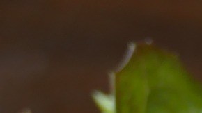 Las ventas en los negocios de latinos en Estados Unidos contribuyen a la economía alrededor de $500 billones de dólares anuales.