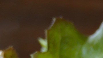 Las ventas en los negocios de latinos en Estados Unidos contribuyen a la economía alrededor de $500 billones de dólares anuales.