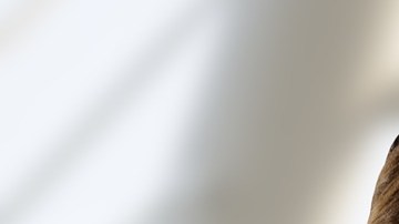 Si vas a postularte en una vacante, tu currículum es tu primer punto de contacto con un posible empleador.