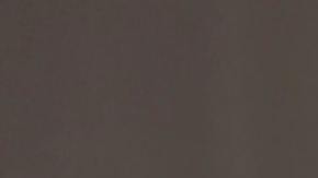 Para poder aplicar a las tarjetas de crédito de las tiendas departamentales necesitarás tener un buen crédito y un salario estable.