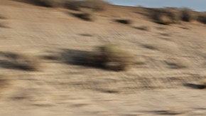 Hyundai Palisade 2020.