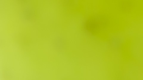 Con sencillos trucos lograrás pagar menos por tu servicio de teléfono celular.