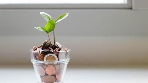 Ahorrar es como regar una plantita, requiere de dedicación para lograr ver sus beneficios.