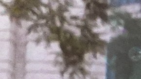 CHICAGO, ILLINOIS - JULY 08: The Brooks Brothers logo is painted on the window of a closed store along the Magnificent Mile on July 08, 2020 in Chicago, Illinois. The retailer which was founded in 1818 and currently has more than 500 stores worldwide filed for bankruptcy protection today.  (Photo by Scott Olson/Getty Images)