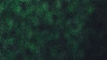 Las páginas de internet aquí mencionadas te pueden dar dinero extra o sacar de un apuro económico con empleos temporales.