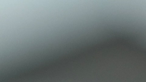 Quizá aún no es el momento de tener tu casa propia, pero sí de disfrutar de los beneficios de ser arrendatario.
