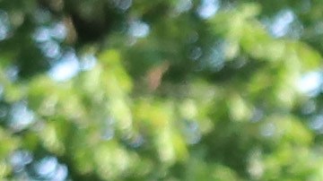FRANKFORT, KY - JUNE 19: Hundreds of unemployed Kentucky residents wait in long lines outside the Kentucky Career Center for help with their unemployment claims on June 19, 2020 in Frankfort, Kentucky. (Photo by John Sommers II/Getty Images)