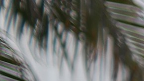 MIAMI SPRINGS, FLORIDA - JULY 16: Carlos Ponce joins other demonstrators participating in a protest asking Senators to support the continuation of unemployment benefits on July 16, 2020 in Miami Springs, Florida.  The protesters were asking Senators to support the new Schumer/Wyden legislation that extends unemployment benefits for all laid-off Americans as the coronavirus pandemic continues to disrupt the economy.  (Photo by Joe Raedle/Getty Images)