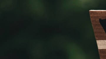 Casi tres cuartas partes de la población estadounidense cree que el sistema económico favorece a adinerados.