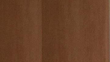 Existen diversas opciones para gastar menos en el pago de tus estudios.