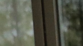 FRANKFORT, KY - JUNE 19: Unemployed Kentucky residents enter the Kentucky Career Center for help with their unemployment claims as hundred more wait in long lines outside for help with their unemployment claims on June 19, 2020 in Frankfort, Kentucky. (Photo by John Sommers II/Getty Images)