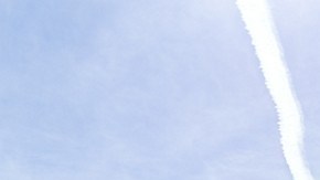 Ford Bronco 2021 y Ford Bronco Sport 2021