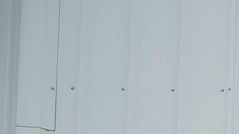 Costco le apuesta a la lealtad de sus afiliados.