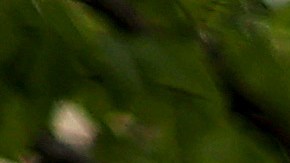 WASHINGTON, DC - APRIL 27: The Internal Revenue Service headquarters building appeared to be mostly empty April 27, 2020 in the Federal Triangle section of Washington, DC. The IRS called about 10,000 volunteer employees back to work Monday at 10 of its mission critical locations to work on taxpayer correspondence, handling tax documents, taking telephone calls and other actions related to the tax filing season. (Photo by Chip Somodevilla/Getty Images)