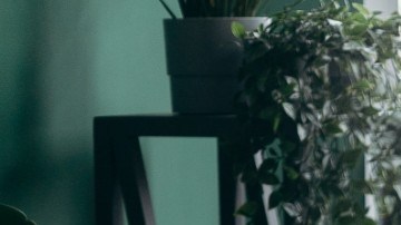 Los jóvenes también ven en las bienes raíces una fuente de ingreso extra para el cual invertir.