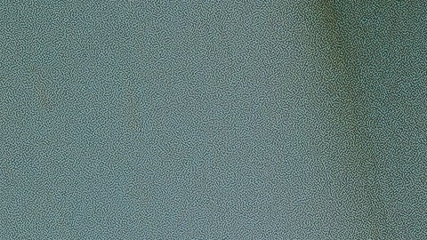 Algunas recomendaciones harán que inviertas menos en productos de limpieza.
