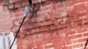 NEW YORK, NY - JULY 04: People dine al fresco in Little Italy on Mulberry Street between Hester and Broome Streets on July 4, 2020 in the Manhattan borough of New York City. Mayor Bill de Blasio has expanded and combined the popular programs, Open Streets and Open Restaurants, as the city opens up streets to outdoor dining as COVID-19 cases ease. (Photo by Byron Smith/Getty Images)
