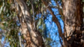 Sin importar la marca o el modelo, usualmente los estadounidenses confían en la durabilidad de sus camionetas.