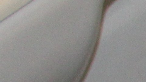 El uso de un bidé puede representar un ahorro de hasta 75% en rollos de papel higiénico.