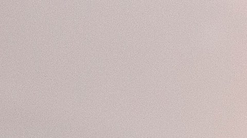 Los asistentes veterinarios trabajan en clínicas u hospitales de animales, y los mejores pagados ganan $36,690 al año.