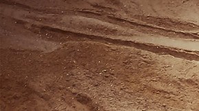 Los salarios y el potencial de ingresos también se estipulan en la página.