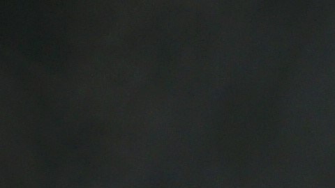 Te presentamos las mejores opciones si estás por cambiar de celular.