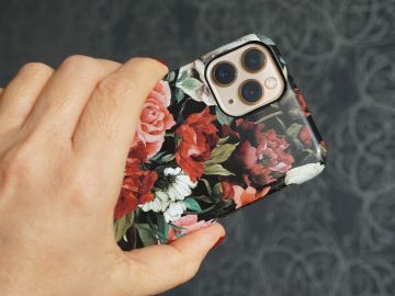 Te presentamos las mejores opciones si estás por cambiar de celular.