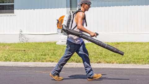 Si un poco de trabajo físico no te parece mal idea, entonces trabajar como jardinero será uno de los trabajos más fáciles de encontrar.