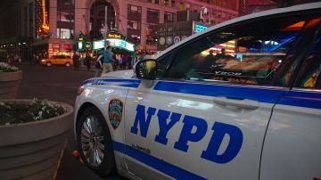 El NYPD tiene una variedad de puestos de trabajo con uniforme y como civil, ya que existen diferentes departamentos dentro de la misma que te pudieran resultar atractivos.